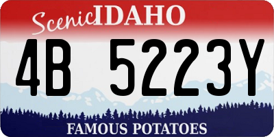 ID license plate 4B5223Y