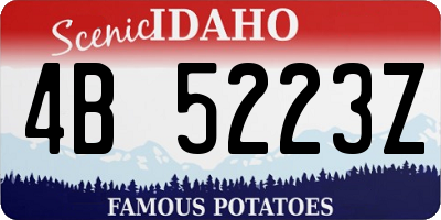 ID license plate 4B5223Z