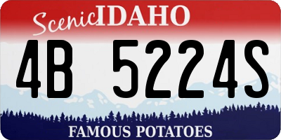 ID license plate 4B5224S