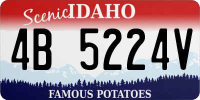 ID license plate 4B5224V