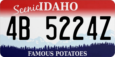 ID license plate 4B5224Z