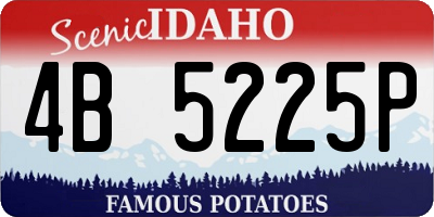 ID license plate 4B5225P