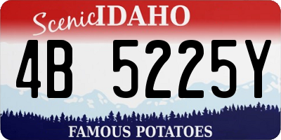 ID license plate 4B5225Y