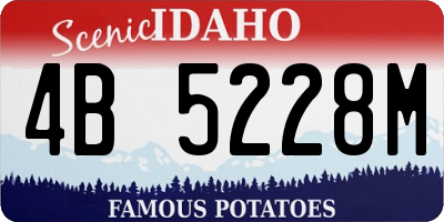 ID license plate 4B5228M