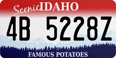ID license plate 4B5228Z