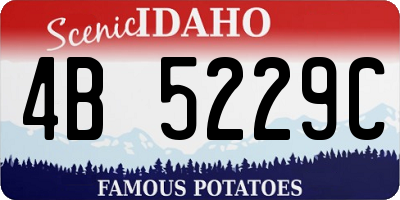 ID license plate 4B5229C