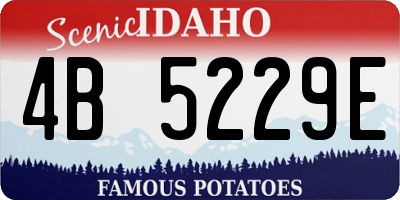 ID license plate 4B5229E