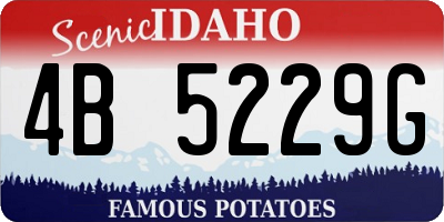 ID license plate 4B5229G