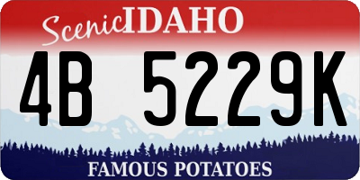 ID license plate 4B5229K