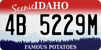ID license plate 4B5229M