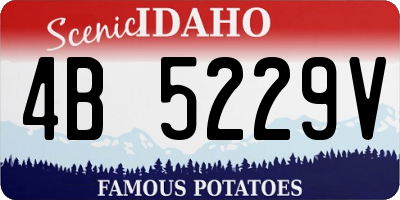 ID license plate 4B5229V