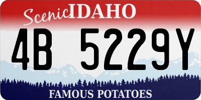 ID license plate 4B5229Y