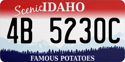ID license plate 4B5230C