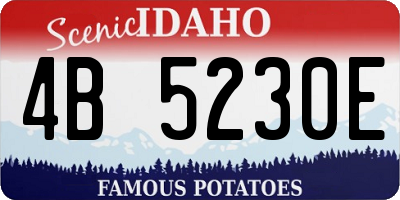 ID license plate 4B5230E