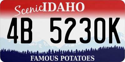 ID license plate 4B5230K