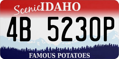 ID license plate 4B5230P