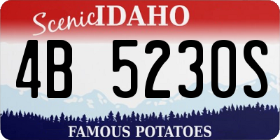 ID license plate 4B5230S
