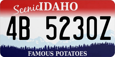 ID license plate 4B5230Z