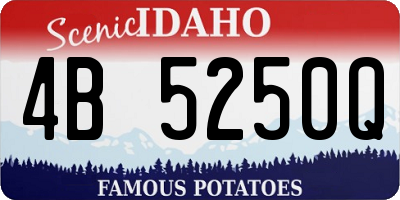 ID license plate 4B5250Q