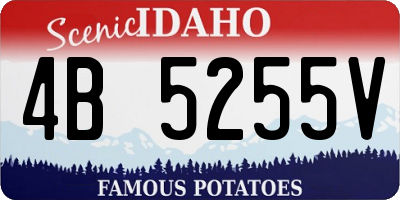 ID license plate 4B5255V