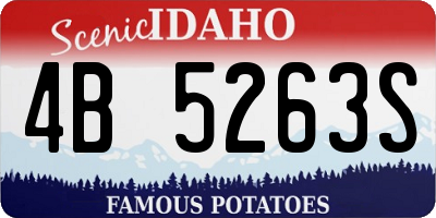 ID license plate 4B5263S