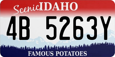 ID license plate 4B5263Y