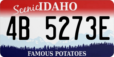 ID license plate 4B5273E