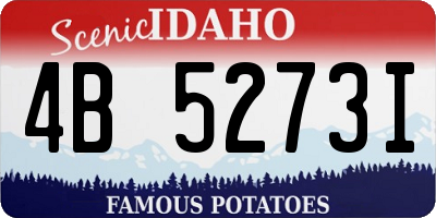 ID license plate 4B5273I