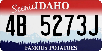 ID license plate 4B5273J