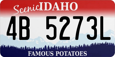 ID license plate 4B5273L