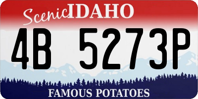 ID license plate 4B5273P