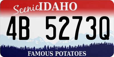 ID license plate 4B5273Q