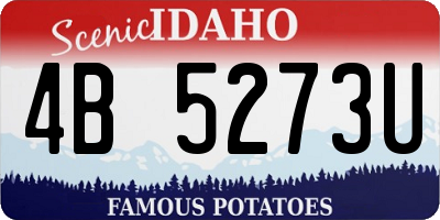 ID license plate 4B5273U