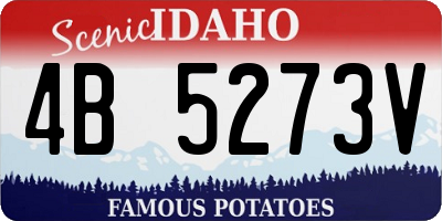 ID license plate 4B5273V