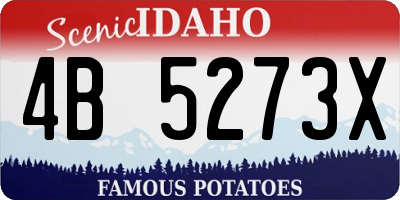ID license plate 4B5273X
