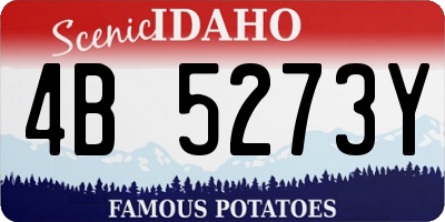 ID license plate 4B5273Y