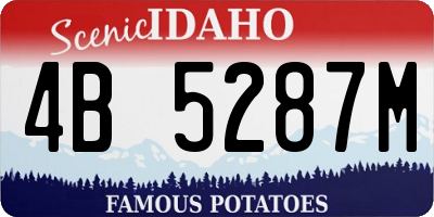 ID license plate 4B5287M
