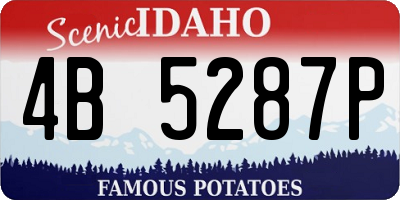 ID license plate 4B5287P