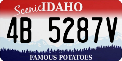 ID license plate 4B5287V