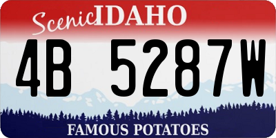 ID license plate 4B5287W