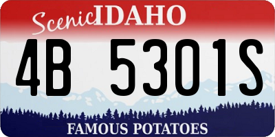 ID license plate 4B5301S