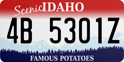 ID license plate 4B5301Z