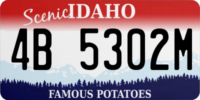 ID license plate 4B5302M