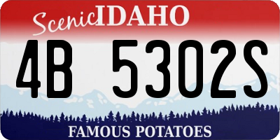 ID license plate 4B5302S