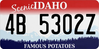 ID license plate 4B5302Z