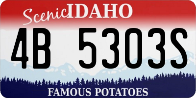 ID license plate 4B5303S