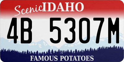 ID license plate 4B5307M