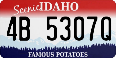 ID license plate 4B5307Q