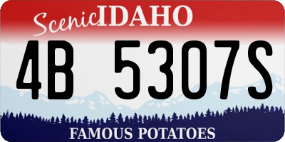 ID license plate 4B5307S