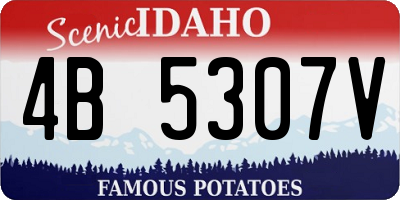 ID license plate 4B5307V